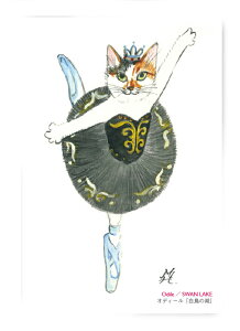 B0043@L|XgJ[h@A[g{[ho[jyIfB[ǔ΁vzkc_q