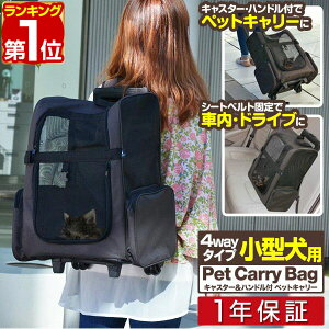 yyV1ʁz4way ybg L[obO ybgL[ L  bN J[g L[bN L[J[g LX^[t bNTbN ybg L[ ^  ˂ Ck l