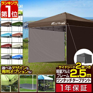 yyV1ʁzՌ/ՔMfǉIFIELDOOR ^b`^[veg 2.5m×2.5m TChV[g2t Zbg y A~ eg ^[v 250 ^b`eg ^ ȒP UVJbg  悯 v