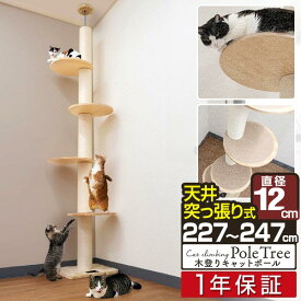 キャットツリー キャットステップ 突っ張り スリム 太め 紐巻き 12cm支柱 高さ227～247cm ステップ4段 猫タワー 低め シニア 運動不足 木登り 木登りタワー 木登りキャットポール 設置 簡単 爪とぎ 多頭 猫 ネコ ねこ ペット 1年保証 ■[送料無料]