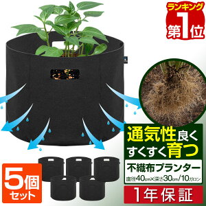 yyV1ʁzsDzv^[ Aؔ v^[|bg 5Zbg a40cm×[30cm ~` sDz v^[ A ڈ 5`12 z ͔| ܂肽 K[fjO ƒ؉ x_