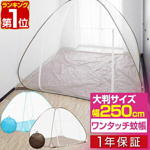 yyV1ʁzᒠ ^b` ^b`ᒠ 唻  250cm x  160cm ^b` eg eg  hh~ 悯 Ԃ xr[ rbOTCY xbh q l YQ 1N