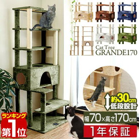 【楽天1位】キャットツリー 据え置き スリム 高さ 170cm 幅 70cm ハウス付き 猫タワー シニア 運動不足 猫ちゃん GRANDE170 組み立て 設置 簡単 爪とぎ 階段 スクラッチ 多頭 猫 ねこ ペット ペット用品 ペットグッズ おすすめ 人気 1年保証 ■[送料無料]