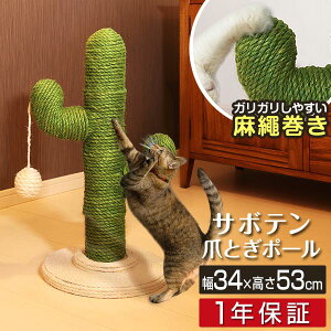 L ܂Ƃ |[ T{e^ ꊪ 53cm u VR   ˂ ߂Ƃ lR ܂Ƃ|[ x ܌ ܖ XgX ~j Lbgc[ Lpi t L