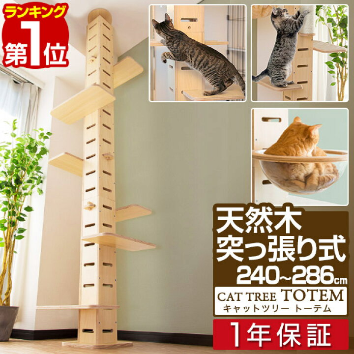 楽天市場】キャットツリー 突っ張り スリム 木製 省スペース 高さ 240  