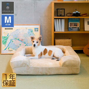  L xbh ybgxbh MTCY 75cm I[V[Y w 􂦂 Jo[t NbV ybgNbV Jh[ \t@[ ybgp pxbh Lpxbh ^ ^ VjA 