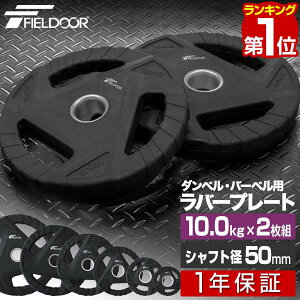 【楽天1位】ダンベルプレート 穴あき 10kg 2枚セット 穴径50mm 追加 バーベル用 プレート バーベルプレート 筋トレ ホームジム ウエイトトレーニング 重り 交換 追加 パーツ オプション 穴あき