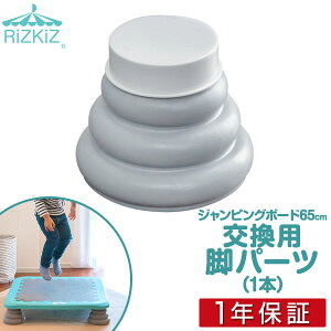 WsO{[hp rp[cPii1j pr g| RiZKiZ WsO{[h65×65cmp WsO{[h{̕ʔ 1Nۏ []