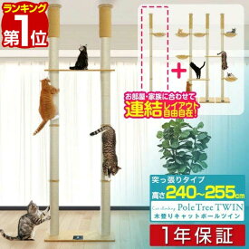 【楽天1位】キャットツリー 突っ張り ツイン 直径 10cm 高さ 240 - 255cm 幅 75cm 渡り板付き 猫タワー シニア 運動不足 木登り きのぼり 木登りタワー 木登りキャットポール 組み立て 設置 簡単 爪とぎ 多頭 猫 ねこ ペット ペット用品 1年保証 ■[送料無料]