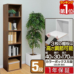 yyV1ʁzJ[{bNX I 5i 40cm s30cm 170cm 1×5i [ [I [{bNX bN [P[X A4Ή  fBXvCbN L[u{bNX ؖڒ {I r