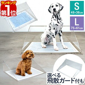 yyV1ʁz gCg[ Ȃ ^ STCY:M[ LTCY:Ch юUK[hZbg 􂦂 ybgV[c ybgV[g ^ ^   ~}bg g