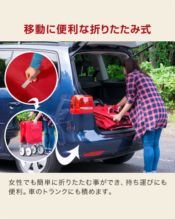 楽天市場】【楽天1位】Radio Flyer ラジオフライヤー キャノピー付き 3 