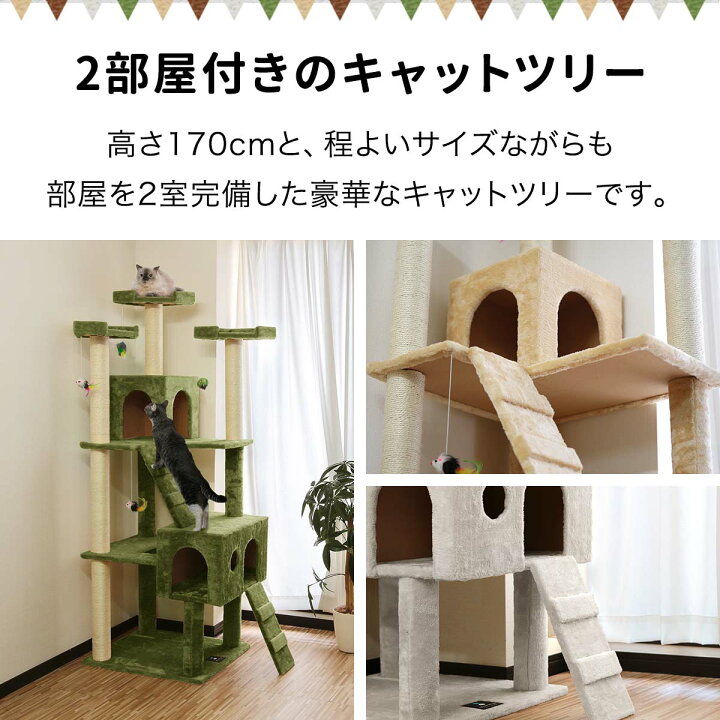 楽天市場】【2/1ワンダフルデー特価8,250円】【楽天1位】キャット 