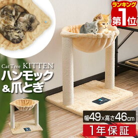 【3,520円→SALE3,190円〜6/11(木)01:59まで】【楽天1位】キャットツリー 据え置き 爪とぎ ハンモック 付き 高さ 46cm 幅 49cm 小型 子猫 シニア 運動不足 猫ちゃん KITTEN 組み立て 設置 簡単 スクラッチ 猫 ねこ ペット ペット用品 ■[送料無料]