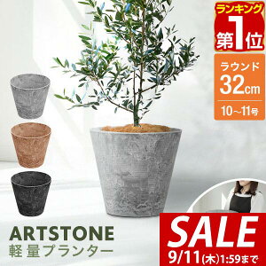 y3,300~SALE2,970~`9/11()01:59܂ŁzyyV1ʁzv^[ ^ X a32cm×29cm  Eh v^[{bNX Aؔ AJo[ v^[Jo[ Jo[ 6`10A11 