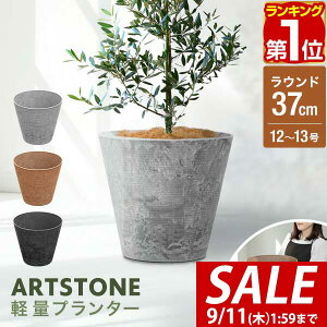 y4,400~SALE3,960~`9/11()01:59܂ŁzyyV1ʁzv^[ ^ X a37cm×34cm  Eh v^[{bNX Aؔ AJo[ v^[Jo[ Jo[ 8`12A13 