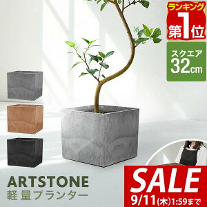 y9/1_tf[zyyV1ʁzv^[ ^ 32cm×29cm lp XNGA v^[{bNX Aؔ AJo[ v^[Jo[ Jo[ 6`10A11  O y A