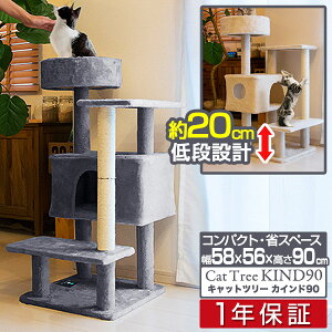 y5,390~SALE4,620~`9/11()01:59܂ŁzLbgc[ ^[ u X ȃXy[X 90cm×60cm i nEXt L^[ qL VjAL ^s L KIND90 ܂Ƃ XN