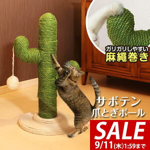 y4,730~SALE3,960~`9/11()01:59܂ŁzL ܂Ƃ |[ T{e^ ꊪ 53cm u VR   ˂ ߂Ƃ lR ܂Ƃ|[ x ܌ ܖ XgX ~j L