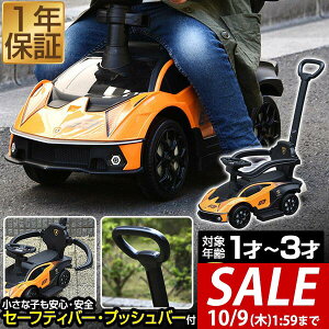 y10/1_tf[zpߋ  艟 {M[j GbZc@ 2WAY KCZX Lamborghini Essenza SCV12   蕨 O O OV  S K[h w Xe
