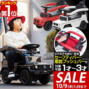 y10/1_tf[zyyV1ʁzpߋ xc  艟 2WAY ZfXxc KCZX G-Class GNX SUV   蕨 O O OV  S K[h w 