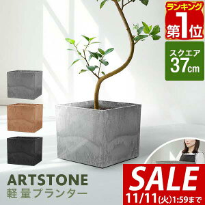 y7,260~SALE6,600~`11/11()01:59܂ŁzyyV1ʁzv^[ ^ 37cm×32.5cm lp XNGA v^[{bNX Aؔ AJo[ v^[Jo[ Jo[ 8`12A13 