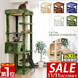 y16,170~SALE14,520~`11/11()01:59܂ŁzyyV1ʁzLbgc[ u  185cm  70cm t L^[ VjA ^s L GRANDE SUPERIOR185 gݗ ݒu ȒP ܂Ƃ nEX