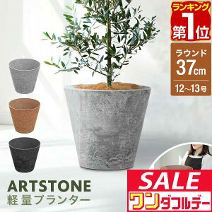 y11/1_tf[zyyV1ʁzv^[ ^ X a37cm×34cm  Eh v^[{bNX Aؔ AJo[ v^[Jo[ Jo[ 8`12A13  O y