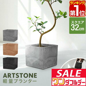 y11/1_tf[zyyV1ʁzv^[ ^ 32cm×29cm lp XNGA v^[{bNX Aؔ AJo[ v^[Jo[ Jo[ 6`10A11  O y A