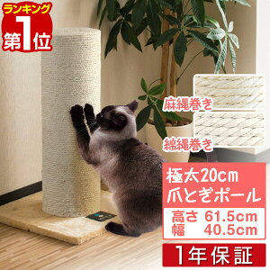 y11/1_tf[zyyV1ʁz܂Ƃ L ɑ |[ a 20cm  61.5cm  40.5cm Iׂ   ꊪ ˂ ߂Ƃ lR ܂Ƃ|[ ܌ ܂݂ Lbgc[ ~j u