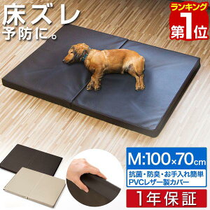 y11/1_tf[zyyV1ʁzybg  h~ NbV ybgp h~}bgX MTCY 100 x 70 x 5cm }bg PA}bg }bg ybgxbh  L VjA ^ 