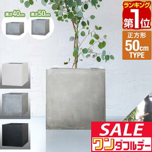 y12/1_tf[zyyV1ʁz v^[ ^ 50×50cm 40cm/50cm XNGA ` [^ t@Co[NC Aؔ AJo[ Jo[ ڈ 5`12 O  K[fjO 