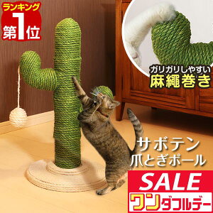 y12/1_tf[zyyV1ʁzL ܂Ƃ |[ T{e^ ꊪ 53cm u VR   ˂ ߂Ƃ lR ܂Ƃ|[ x ܌ ܖ XgX ~j L