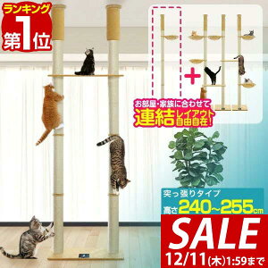 y10,450~SALE9,790~`12/11()01:59܂ŁzyyV1ʁzLbgc[ ˂ cC a 10cm  240 - 255cm  75cm nt L^[ VjA ^s ؓo ̂ڂ ؓo^[ ؓo