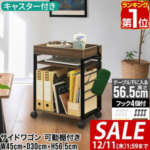 y5,500~SALE4,950~`12/11()01:59܂ŁzyyV1ʁzTChS LX^[t TChbN X 45cm×30cm fXN I Lrlbg [I  fXNTChbN [ f