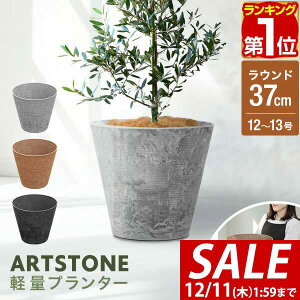 y4,400~SALE3,960~`12/11()01:59܂ŁzyyV1ʁzv^[ ^ X a37cm×34cm  Eh v^[{bNX Aؔ AJo[ v^[Jo[ Jo[ 8`12A13 