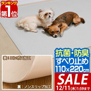 y6,380~SALE5,940~`12/11()01:59܂ŁzyyV1ʁzybg}bg R h ~߃}bg 110cm×220cm 6mm 唻 O z ~ V[g g[Ή 􂦂 NbV L J[ybg 