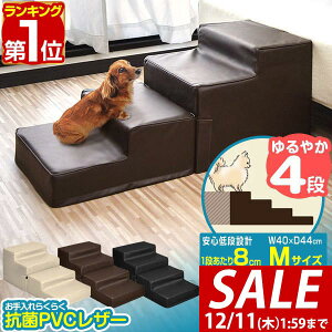 y7,700~SALE6,930~`12/11()01:59܂ŁzyyV1ʁz Ki Xebv 4i i hbOXebv MTCY 40cm R hL PVCU[ ybgp Ki X[v ݑ ybgpKi ybgXeb