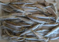 【冷凍】国産 天然 小あゆ 500g(尾約6～9cm) 　若鮎　小鮎　加熱用　業務用
