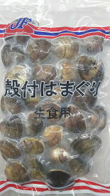 【冷凍】殻付　ハマグリ　500g　はまぐり　蛤　業務用
