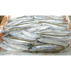 yⓀzY ( i )@Ⓚ 킩@500g@lCTCY@Ɩp