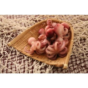 yⓀz{C (S) @1kg @(50t)