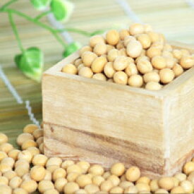 トヨマサリ大豆　大粒2．8分上　北海道産　約1kg 令和5年度産新物 970g　ダイエット　美肌　メール便