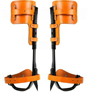 ؓo蓹 oRp̌C  ؓo ɓoRXpCN ʕI ړI 304XeX| ގ ϗp ȊwfUC ω׏d |[^u gpȒP ώ@ oRȂǂɓKpؓo ؓo