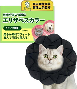 GUxXJ[ L  TCY߉\  h z rߖh~ Dp p y _炩