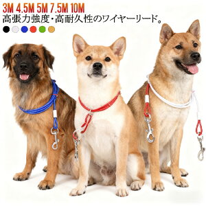 p[h p ؂Ȃ[h `[u XeX C[  C[[h ^ ^ 3M [h W Kтɂ hbO[h O[h ̎U 4.5M 5M 7.5M 10M pi 