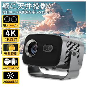 yI3CX3Nۏ؁zvWFN^[ ^ ƒp V䓊e dtH[JX android X}zƌq 4KΉ  26000LMPx Netflix/YouTubeb Android13 É `␳ wi-fi 6 Bluetooth z