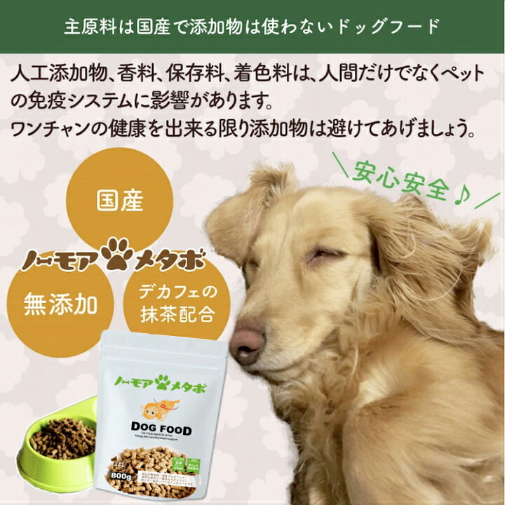 楽天市場 ドッグフード 国産 無添加 アレルギー シニア 子犬 ノーモア メタボ 馬肉 低アレルゲン お試し デカフェ抹茶入り カテキン ドライ 800グラム 送料無料 Smiledog726