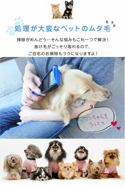 商品画像2