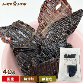 楽天市場 鉄分補給 鉄 ペット ペットグッズ の通販